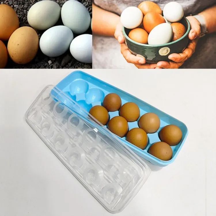 12 Grade Egg Storage Box